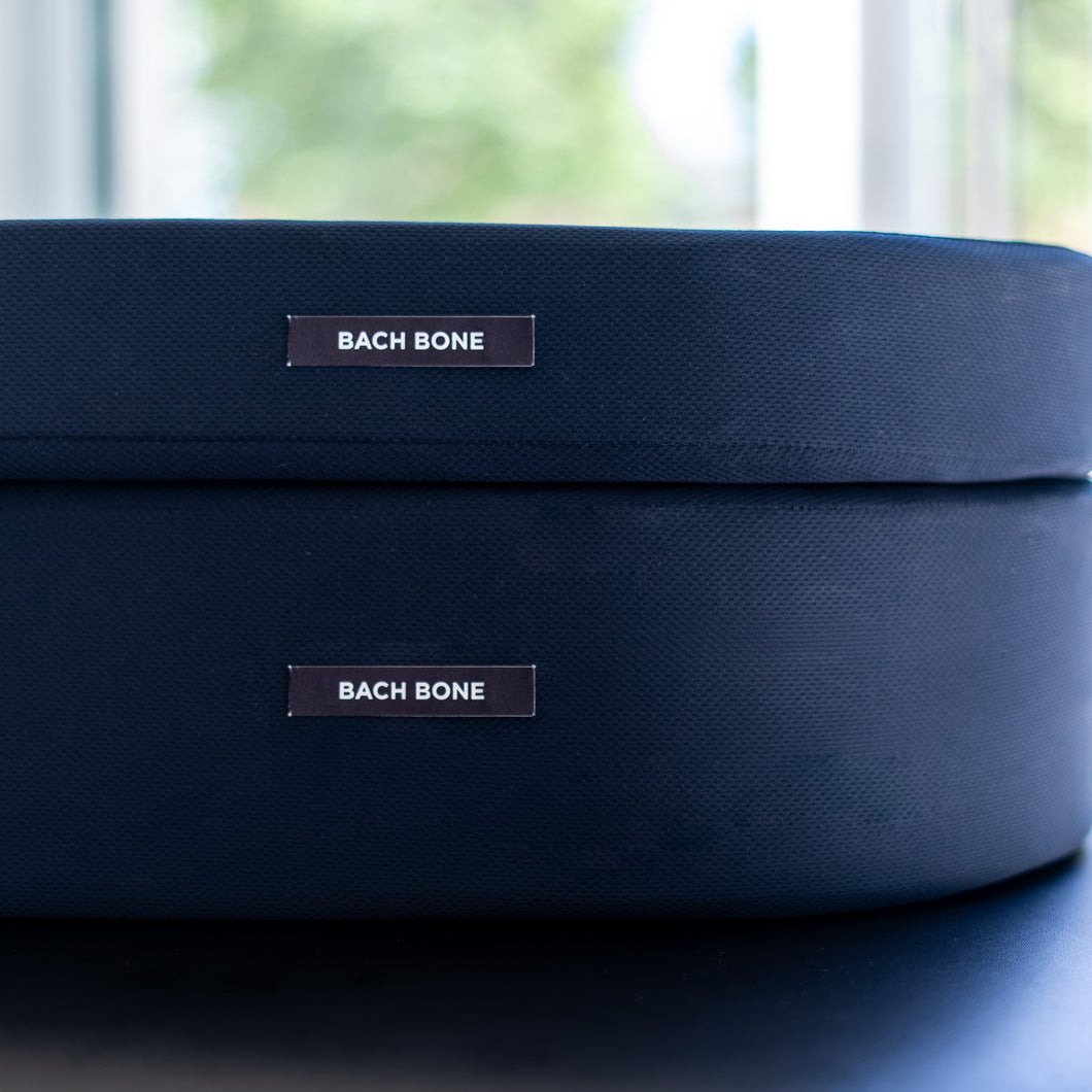 The Combo: Large & Small Assessment and Treatment Cushions